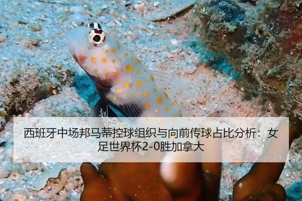 西班牙中场邦马蒂控球组织与向前传球占比分析：女足世界杯2-0胜加拿大